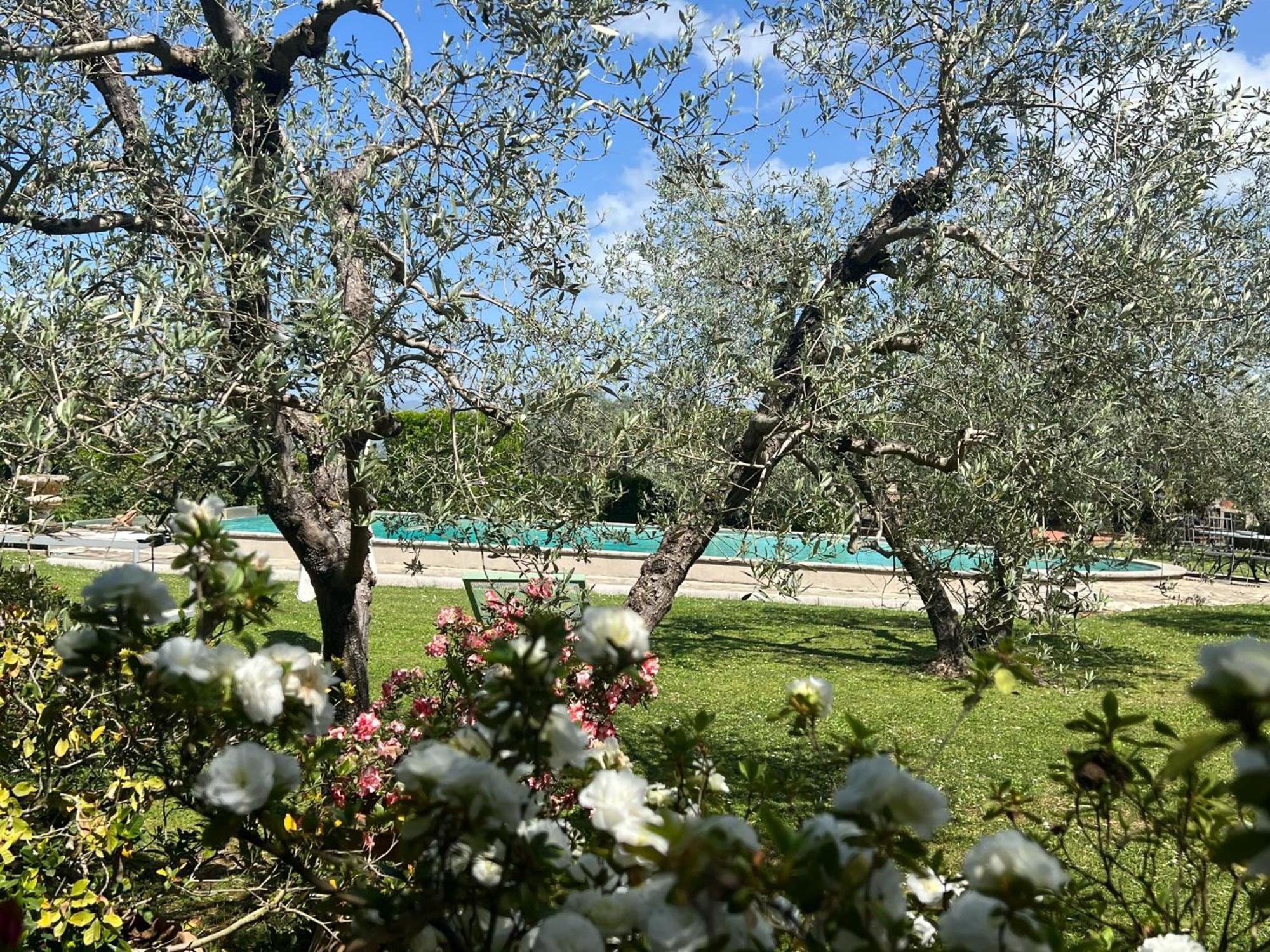Villa Giotto Florence Pozzolatico Dış mekan fotoğraf
